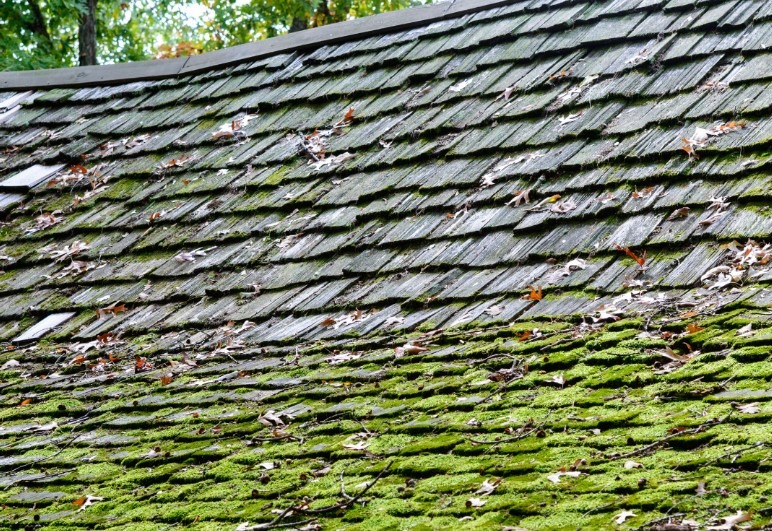 Signs You Need a Roof Replacement